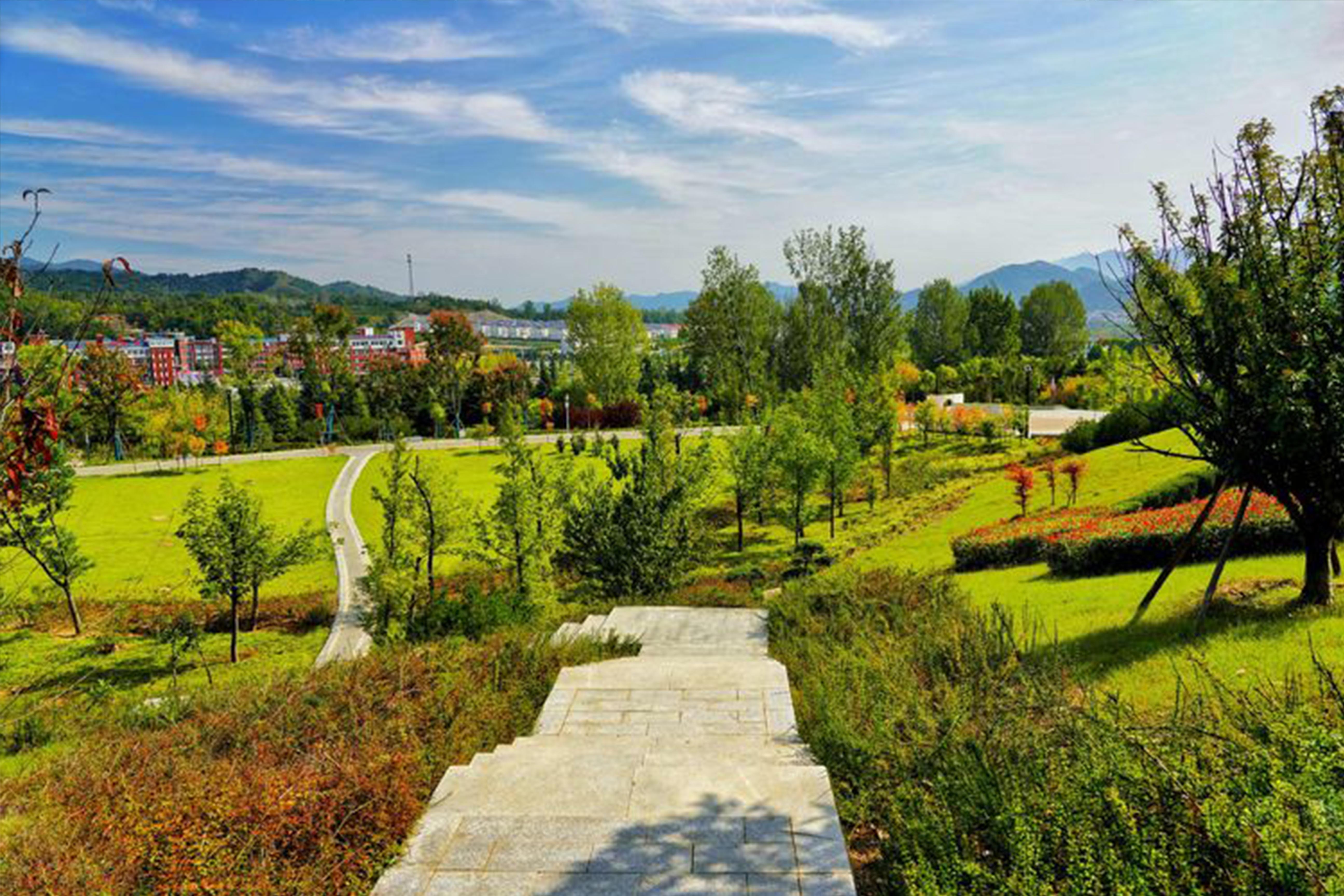 1610502790118886.jpg 3.jpg